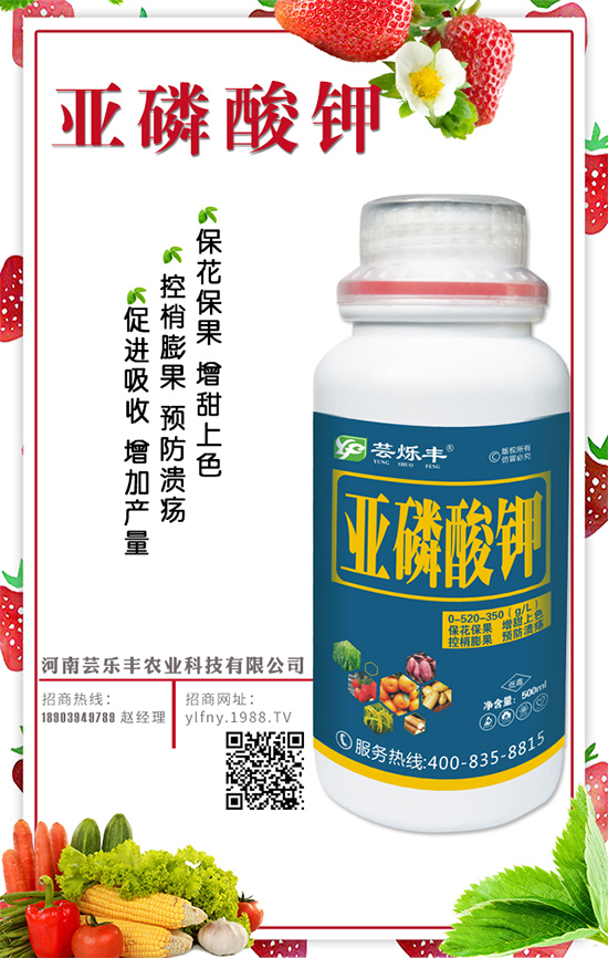 ����ʲô�r(sh��)�g�Nֲ���������L(zh��ng)����Ҫ�c(di��n)��