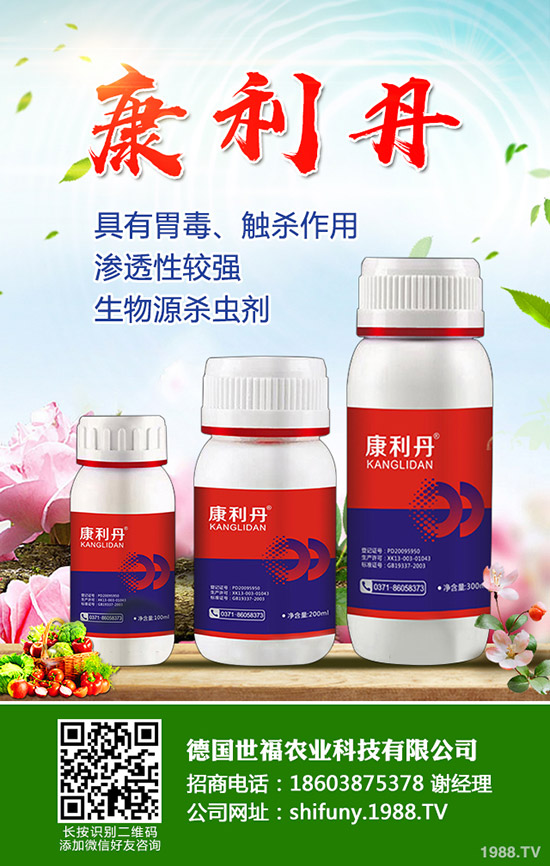 ���󅢷Nֲ�������������g����Ҫ�c��