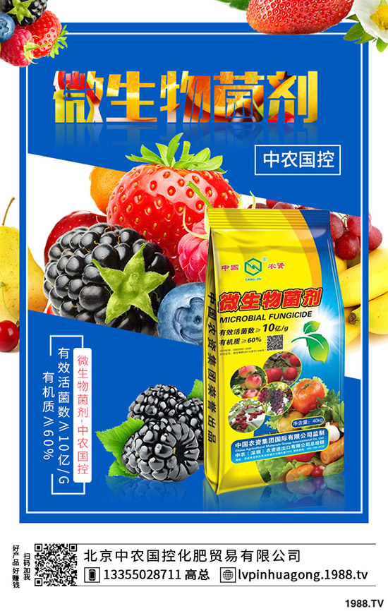 �����ʲô�I�B(y��ng)�rֵ����ϵĹ�Ч��ʳ��ע�����(xi��ng)��