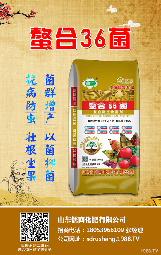     蘋果樹春季管理需要注意的12大誤區(qū)！值得你收藏！