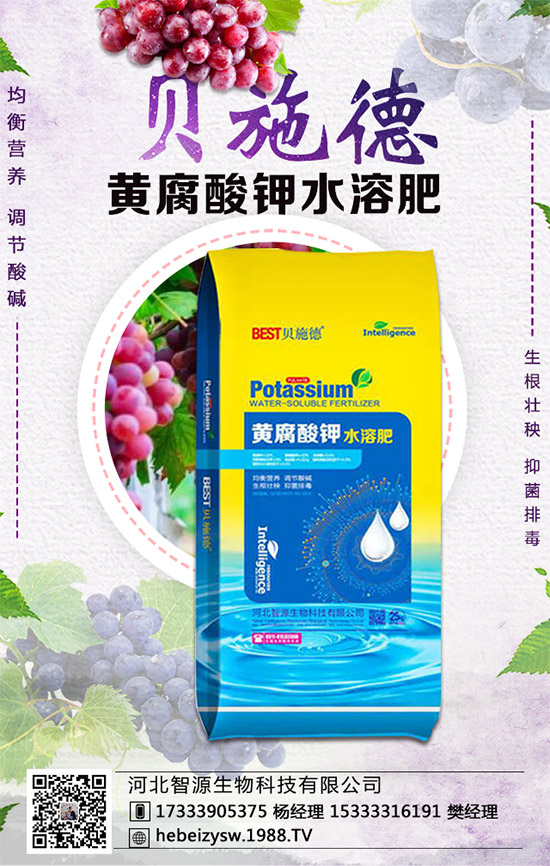 �۲˵ĠI(y��ng)�B(y��ng)�r(ji��)ֵ����Щ�������۲���ʲô��̎��