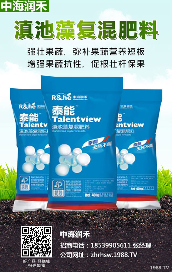 小麥四月份遇到“倒春寒”有多大影響？該如何補(bǔ)救？小麥四月份農(nóng)事指南
