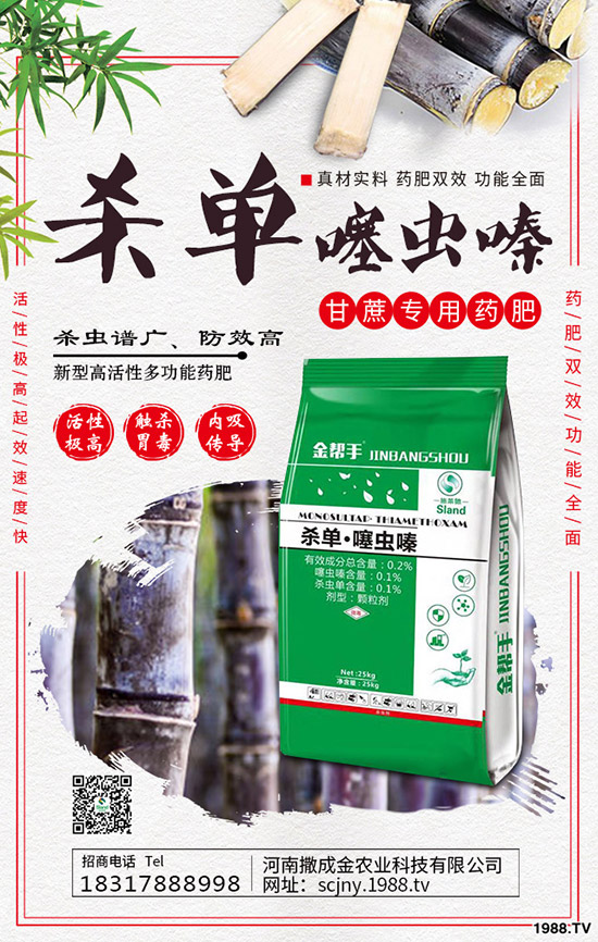 芹菜得了菌核病怎么辦？棚栽芹菜菌核病如何防治？