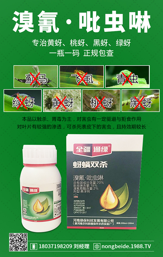 �������x���g�Y�����������x���δ�ʩ��