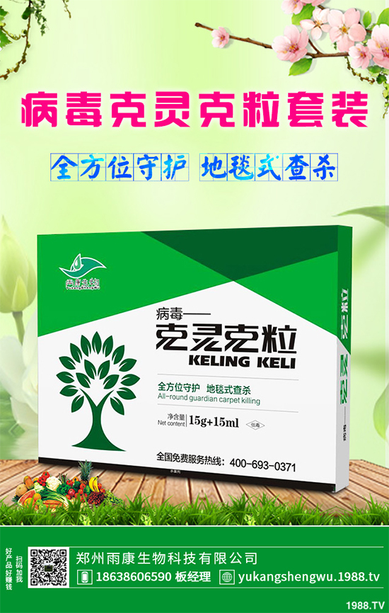 �W�ˌ�Ҫ���á���ɭ�i�\����