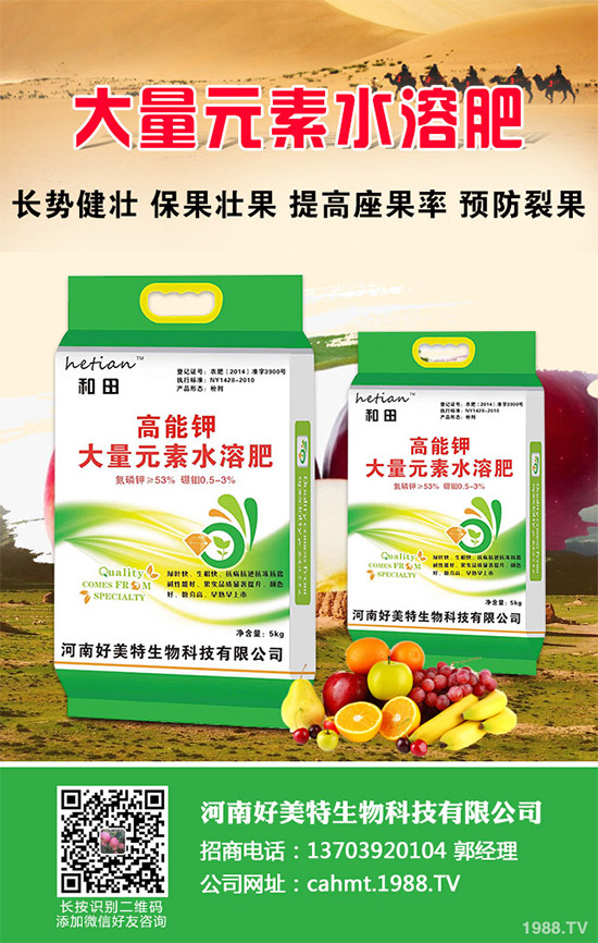 細(xì)香蔥如何種植才能高產(chǎn)？需要注意什么？這五個小技巧分享一下！