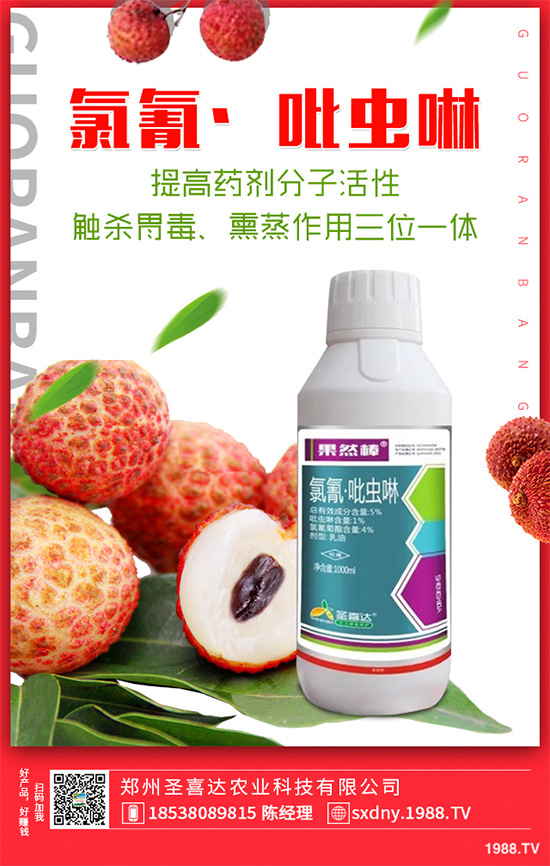 ��������ӛ���������x�y��߀�������������T��Ҫ�����������