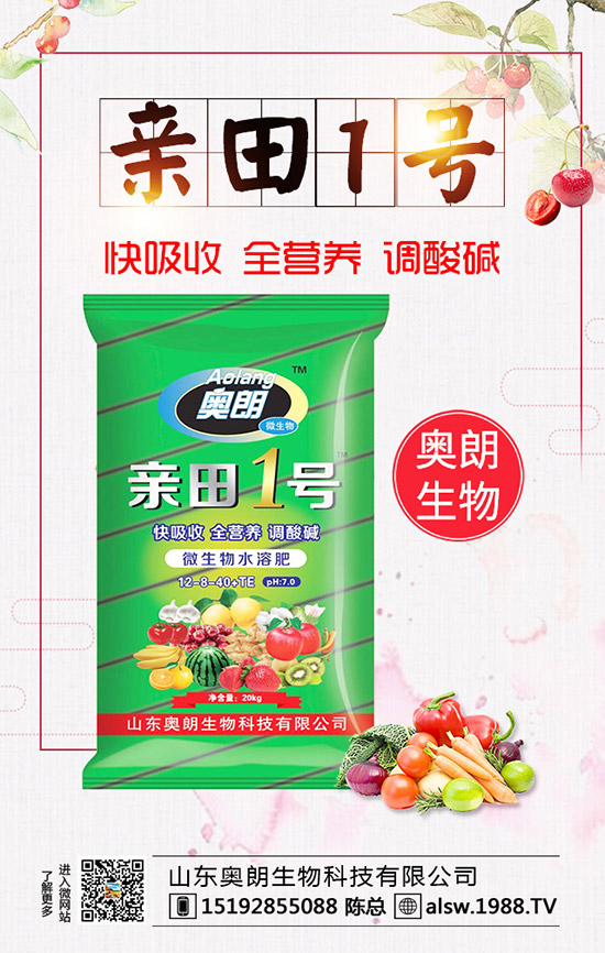  蘆筍種子處理及育苗技術(shù)，蘆筍定植后要如何管理？