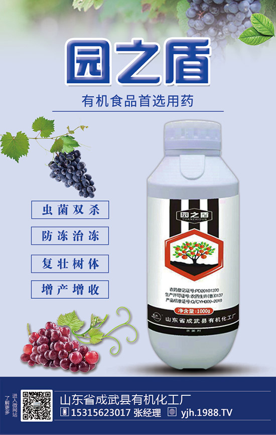 蘆筍如何施肥？蘆筍用什么肥料好？蘆筍需肥特點及注意事項！