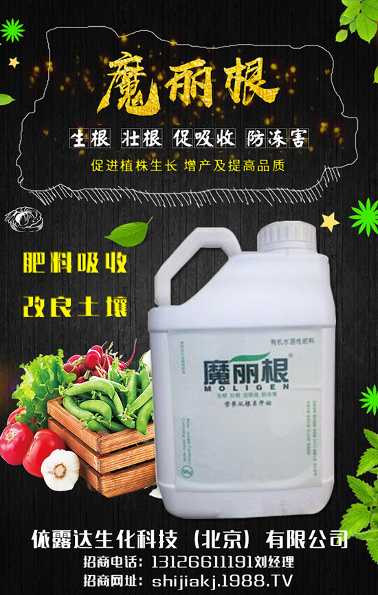 ���[���h(hu��n)����Ҫ������Щ�����[�ķNֲ����(ji��)���ճ�������