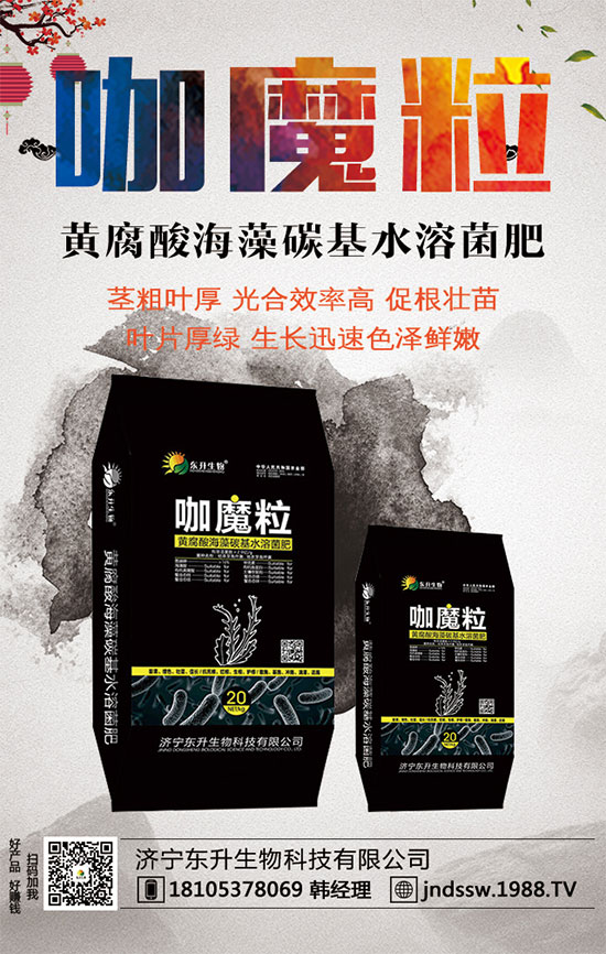 С����ʲô�g�Nֲ�r(sh��)��С���۷Nֲ����Ҫ�c(di��n)��