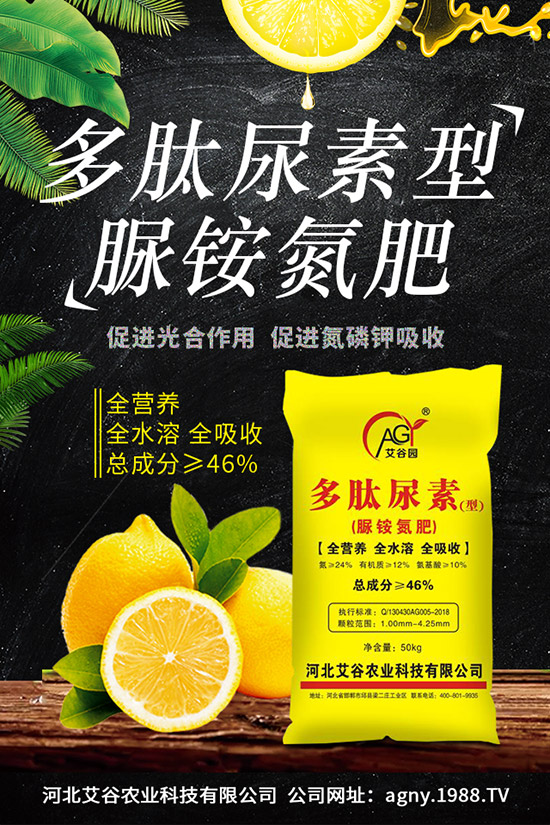 �ļ����NֲҪ�c���ļ������缼�g(sh��)�����ڹ���