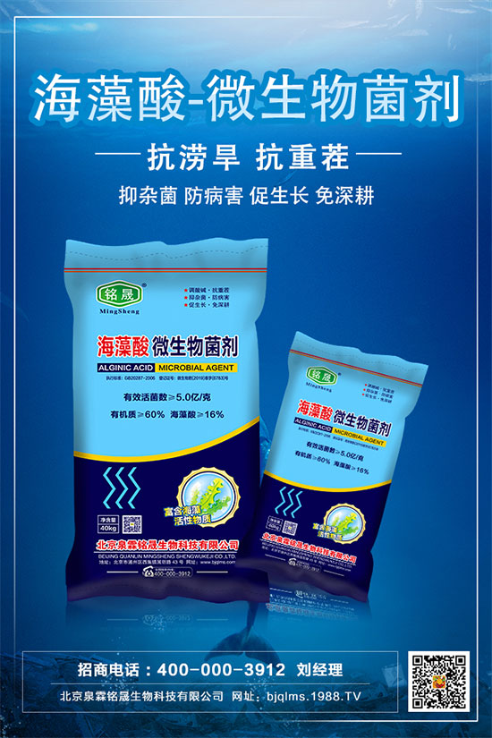     ����ֻ�_�����Y(ji��)����ʲôԭ��������������Ľ�Q��ʩ��