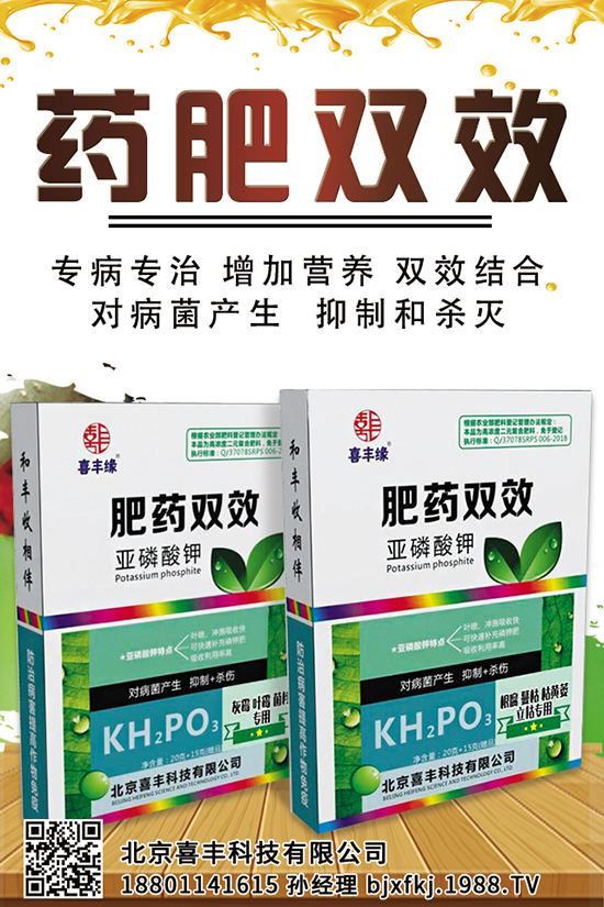 花生畝產(chǎn)千斤難不難？花生畝產(chǎn)量是多少？花生種植注意事項！