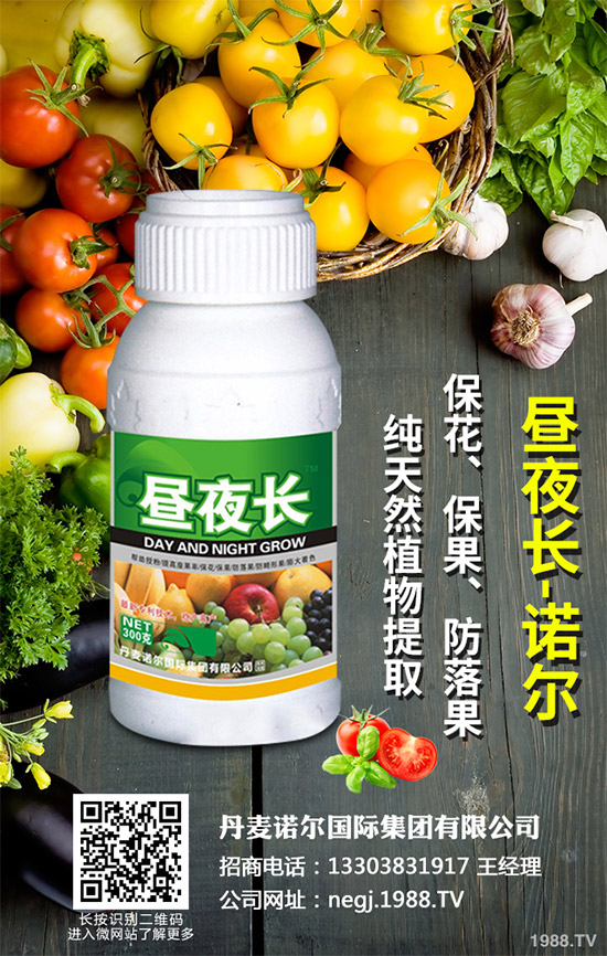 夏芹菜什么時(shí)候種植？該如何種植？夏芹菜高產(chǎn)種植技術(shù)