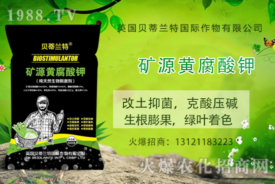 ���ܹ���ô�N�����ܹϷNֲ��(y��ng)ԓע����Щ���(xi��ng)��