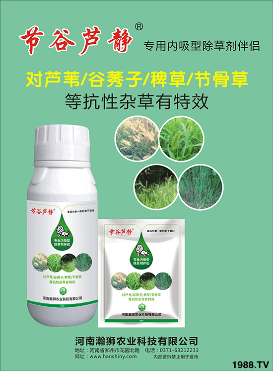 ���I(y��)�����Գ��݄���H-��(ji��)���J�o-嫪{�r�I(y��)