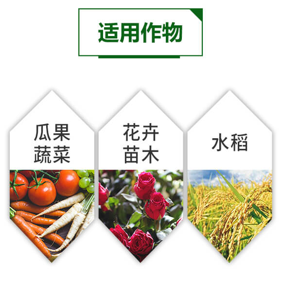 �����ЙC(j��)�|(zh��)�����-䁝M��-���~����_05