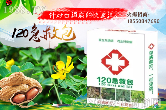 慈姑育苗方法有哪些？慈菇怎么移栽定植？