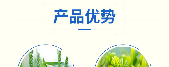 ���׳��݄��⚢�͡�����L_05