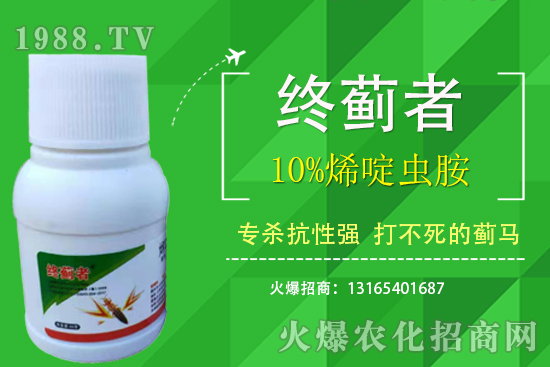 10%ϩ��x���ܴ��E�R������ʲô���c��10%ϩ��x��ʹ��ע�������