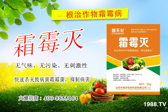 �S��˪ù��������ô�k�����������S��˪ù����