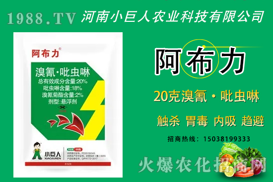 20%���衤���x������Щ�x��20%���衤���x���đ�(y��ng)�÷�����