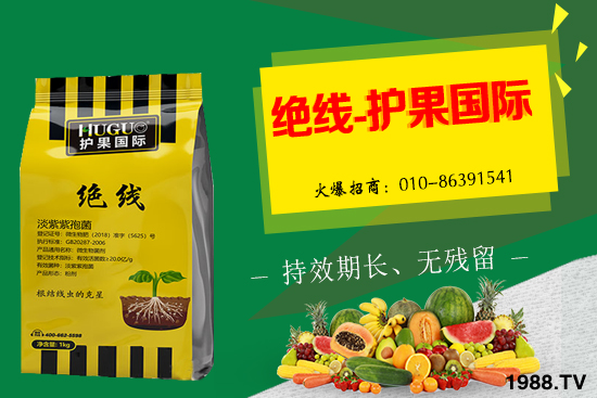 �޻���ʲôҪ�����������Щ��̎���޻�������g�������h��