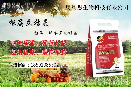 黃花菜什么季節(jié)栽培，黃花菜種植方法介紹！