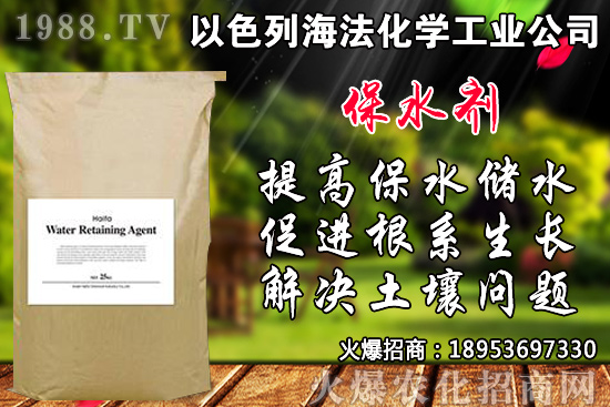 �۲���ηNֲ��Ʒ�N����x�����۲˲��N�r�g���Nֲ���g(sh��)��