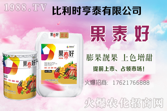 油茶樹的價(jià)格怎樣？種植前景如何？油茶樹畝產(chǎn)效益分析！