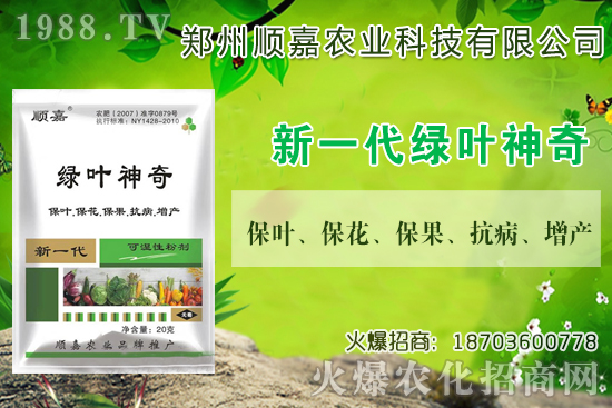 С���r���B�B�ϝq���F(xi��n)��һ������X��