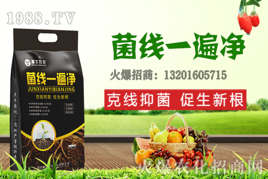 9��19��С���r(ji��)��������q�����F(xi��n)��