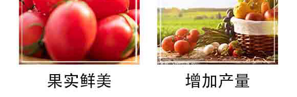 ���S���ЙC(j��)�o�C(j��)���B(t��i)�ʣ����ߌ��ã�-�и���ʢ_06