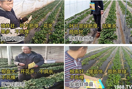 ˮ�ܷ��Ј���׃������徫���~���׌��������棡1000���Ñ��������]��