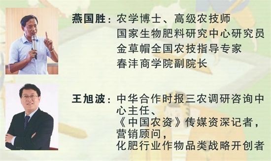 �طʴ��