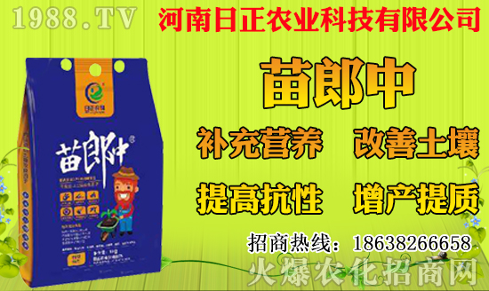 ���}�Nֲ��ýY(ji��)����һ��Y(ji��)�״ι������}�Nֲ���g(sh��)Ҫ�c(di��n)��
