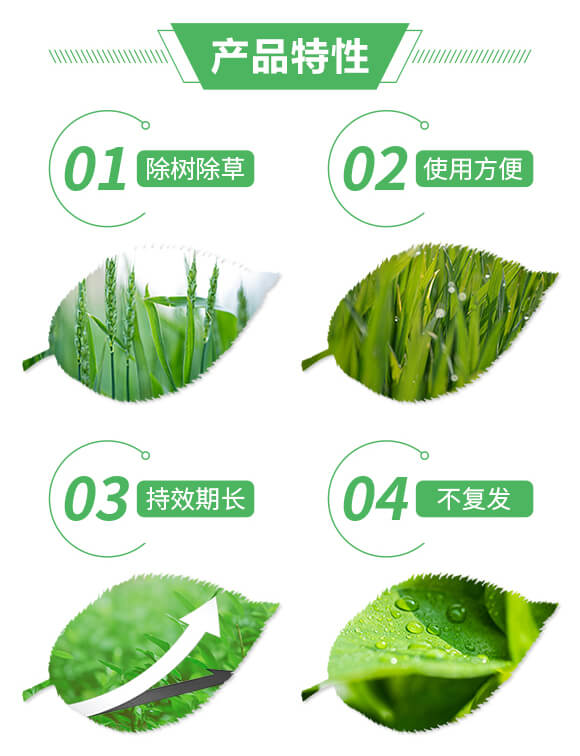 75%�h(hu��n)�ͪ��50�ˣ�-�s���-ϲ�S��_02