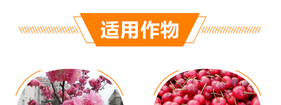 ����Ԫ��ˮ�ܷ���13-7-40+TE-��΢�-��������_09