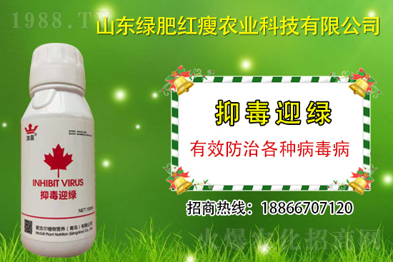 ���β�������Ҳ���ð������ֶ�ӭ�G�����β�������