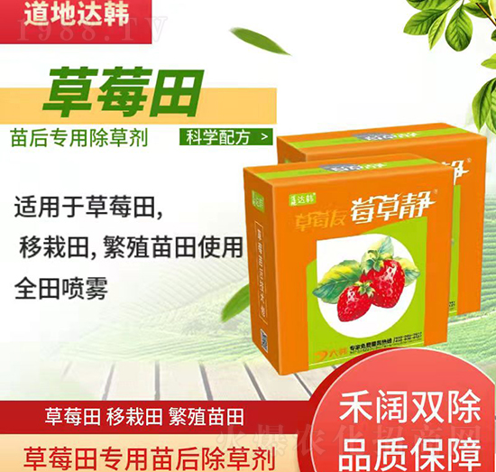 草莓育苗期間使用哪種除草劑？草莓除草劑使用方法！
