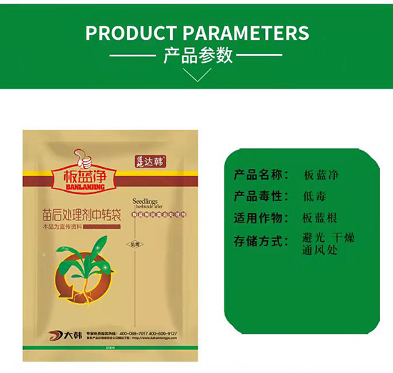 ���{(l��n)�����݄�-���{(l��n)�����-���{(l��n)����(zhu��n)��-���{(l��n)��-���n2