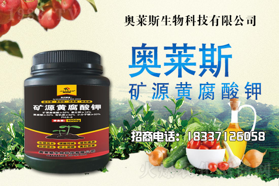 �`֥���a(ch��n)����(ji��)��ʲô�r(sh��)�����`֥���϶�ľ�������༼�g(sh��)��