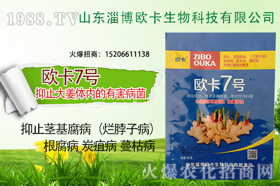 �W�������ٺ�1988.TV������(sh��)�F(xi��n)��I(y��)�v�w��(m��ng)��
