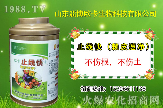 �W�������ٺ�1988.TV������(sh��)�F(xi��n)��I(y��)�v�w��(m��ng)��
