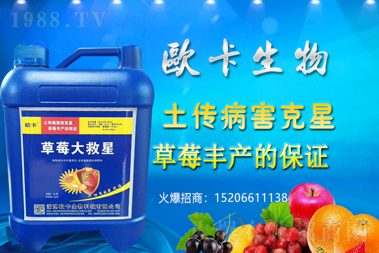 �W�������ٺ�1988.TV������(sh��)�F(xi��n)��I(y��)�v�w��(m��ng)��