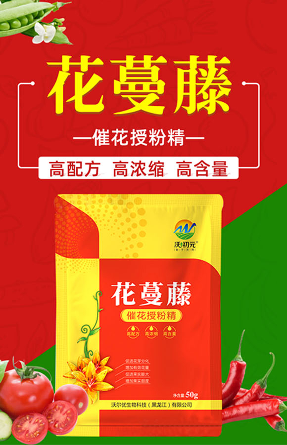 ������-�ֳ�Ԫ_01