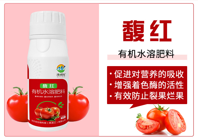 �ЙCˮ�ܷ���-�t-�֠���(y��u)_03