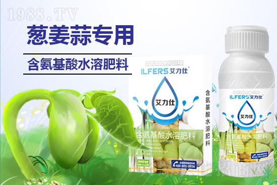 大蒜葉尖干枯如何防？解決大蒜葉尖怎么做？