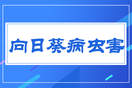 ���տ���Ҫ���x��